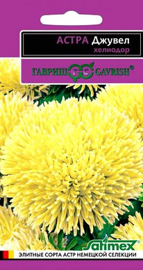 ������ �������� �����