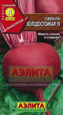 �������������-19 �������� ������