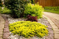 ������������ ������ ������