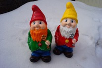 ������ ��� ���� ���� ����� ������ 40 ��