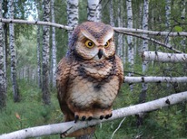 ������ ��� ���� ���� ���������� 42��