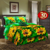 ������� ����� �� ���� 1,5�� (������������+2 ��������� 70�70) � ������������