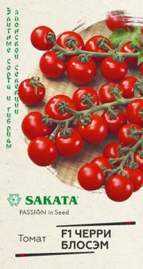 ����� ������ F1 �����