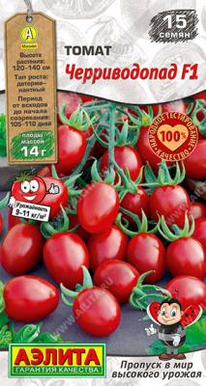 ������������ F1 �����