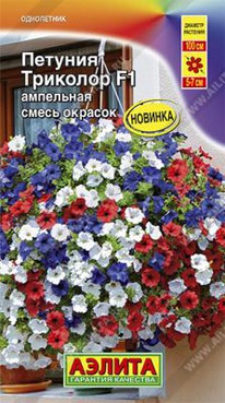 �������� F1 ����� ������� �������