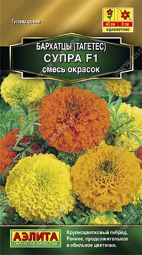 ����� ����� ������� F1 ����������. �������� 10��