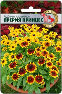 �������� ���������� ������ �������