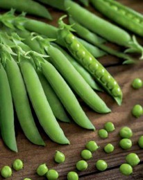 ������ ����� �������