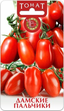 ����� ������� ��������