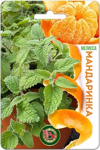 ������� ����������