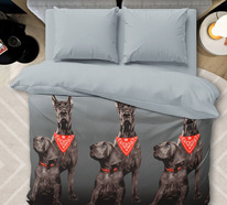 ������� ���������� ����� �� ������� ����