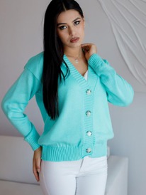 ESENIA �������� ������� - ˸�