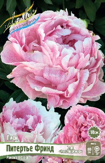 ���� �������� �����, 2/3 n