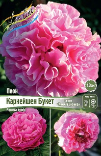 ���� ��������� ����� 2/3 n