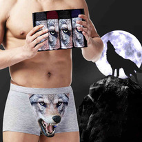 ����� ������� 3D �������� �� 4 ����, � ������������. ������ 95% ������ , 5% ����