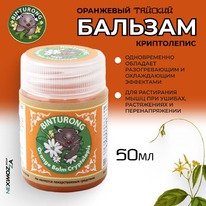 BINTURONG ������� ��������� �/������ ���������� � ������ � �������� (�������)