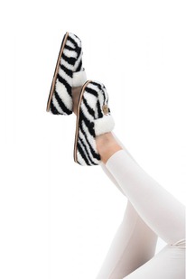 ������� ������ ���� �����