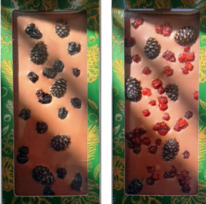 ������� �������� � �������� ������������ ����� ��������ۻ