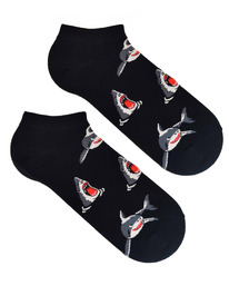 �������� ����� �. 37-44 ����� �� ������