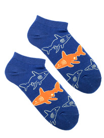 �������� ����� �. 37-44 �����