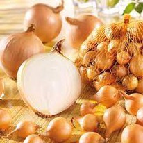 ���-����� ����������-����� (0,5��) �������