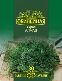 ����� ����� 4��