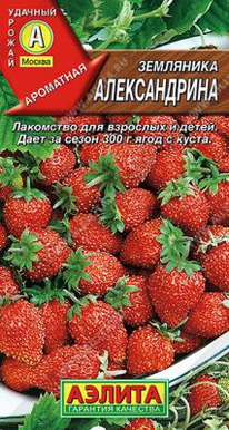 ������������ ���������