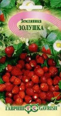 ������� ���������