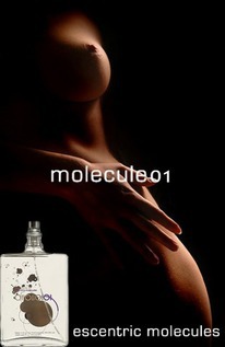 405 - ������ �����������: MOLECULE 01 (Escentric Molecules,Geza Shoen)