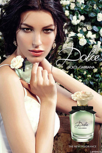 417 -  : Dolce (Dolce&Gabbana)