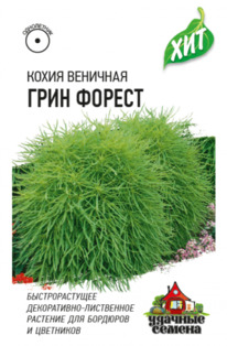 ����� ���� ������ ���