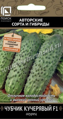 ������ ������ ���������