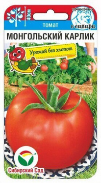 ����� ����������� ������