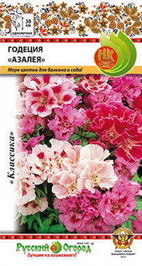 ������� ������ �����