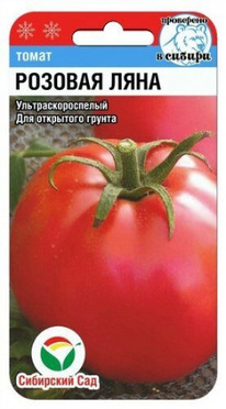 ����� ������� ����