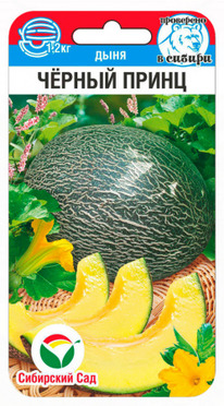 ���� ������ �����