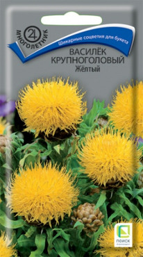 ������ Ƹ���� �����������