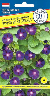 ������ ��������� ������ ����������