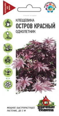 ��������� ������ �������