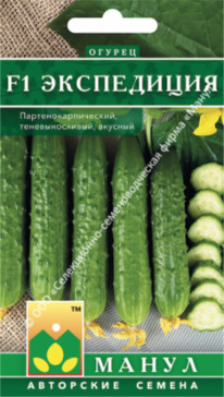 ������ ���������� F1