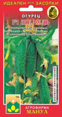 ������ ������ F1