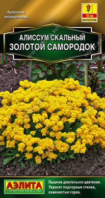 ������� ������� ��������� �����������