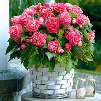 ������� ������� 6/7