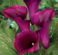 ����� ������� ���� 12/14