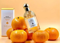 Guerlain Aqua Allegoria Mandarine Basilic ������ 25% �� 31.05