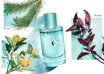 Tiffany & Co Love for Her ������ 25% �� 31.05