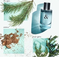 Tiffany & Co  Love For Him ������ 25% �� 31.05