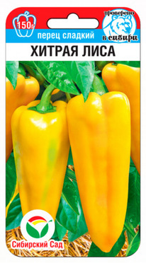 ����� ������ ����