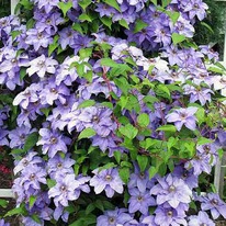 �������� ��� ������ �9