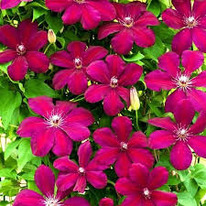 �������� ��� �������� �9